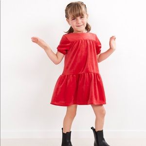 NWOT Hanna Andersson Recycled Velour Twirl Dress